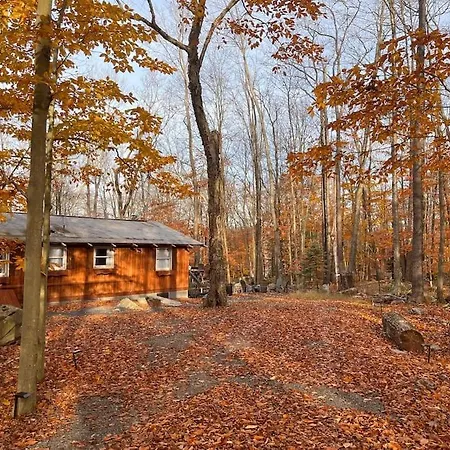 Stylish And Cozy Cabin, Walking Distance To Big Bass Lake Gouldsboro Extérieur photo